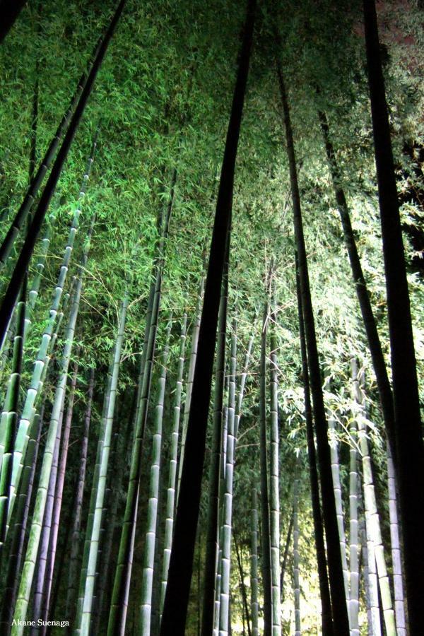 Kyoto Home Higashikujo Dış mekan fotoğraf