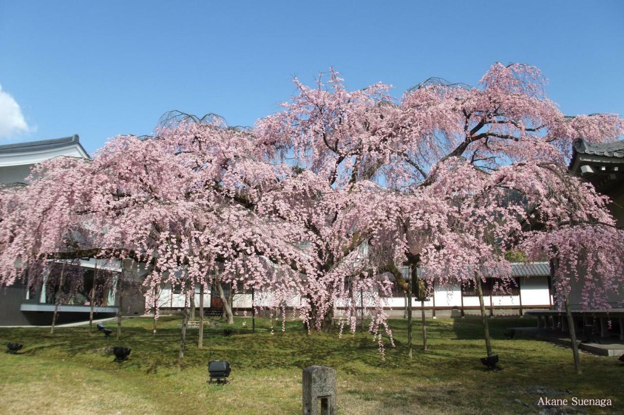Kyoto Home Higashikujo Dış mekan fotoğraf